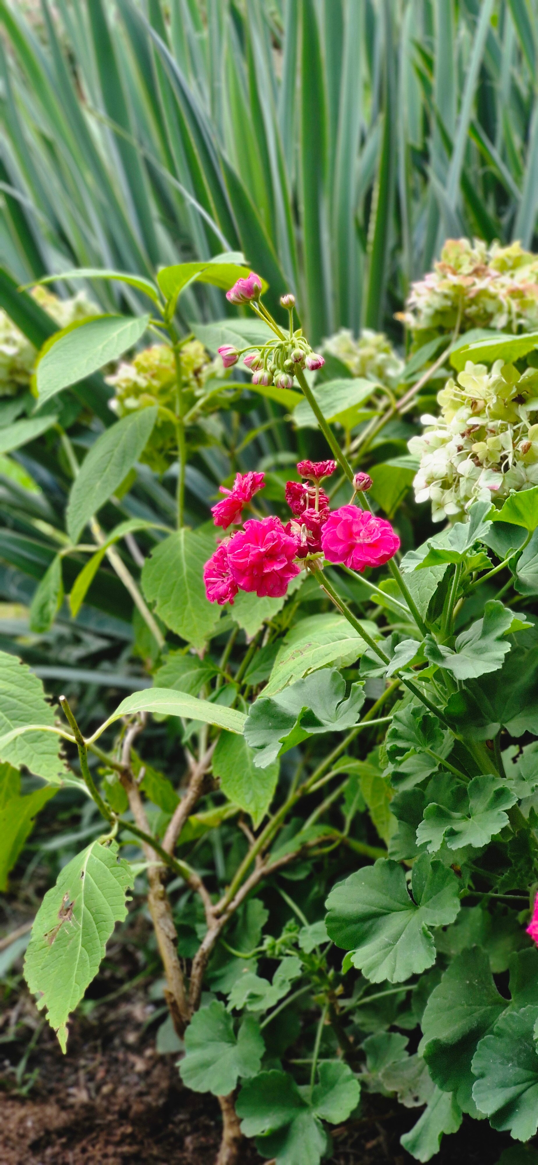 Фото У Ольги