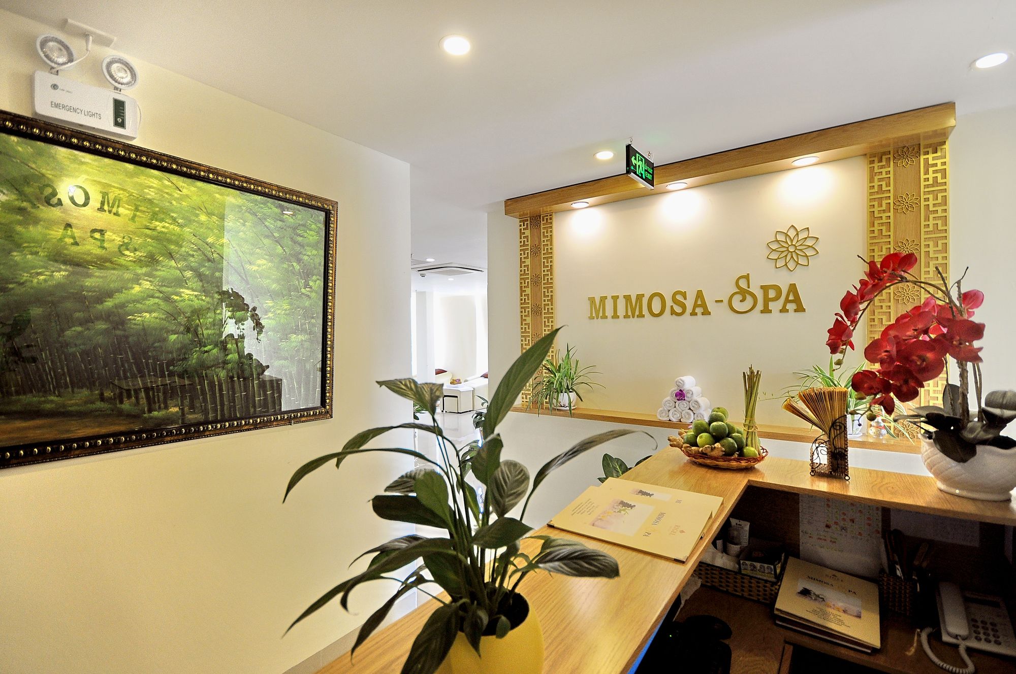 Фото Rigel Hotel