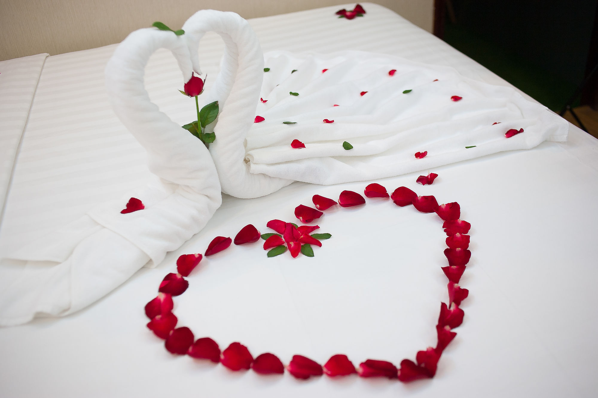 Фото Hanoi Lotus Boutique Hotel