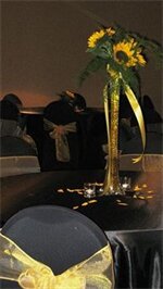 Фото Holiday Inn Express & Suites Sacramento Ne Cal Expo