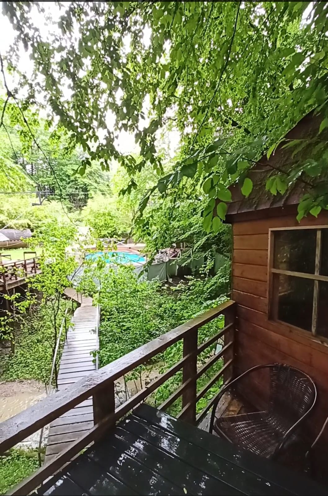 Фото Хоста Рика