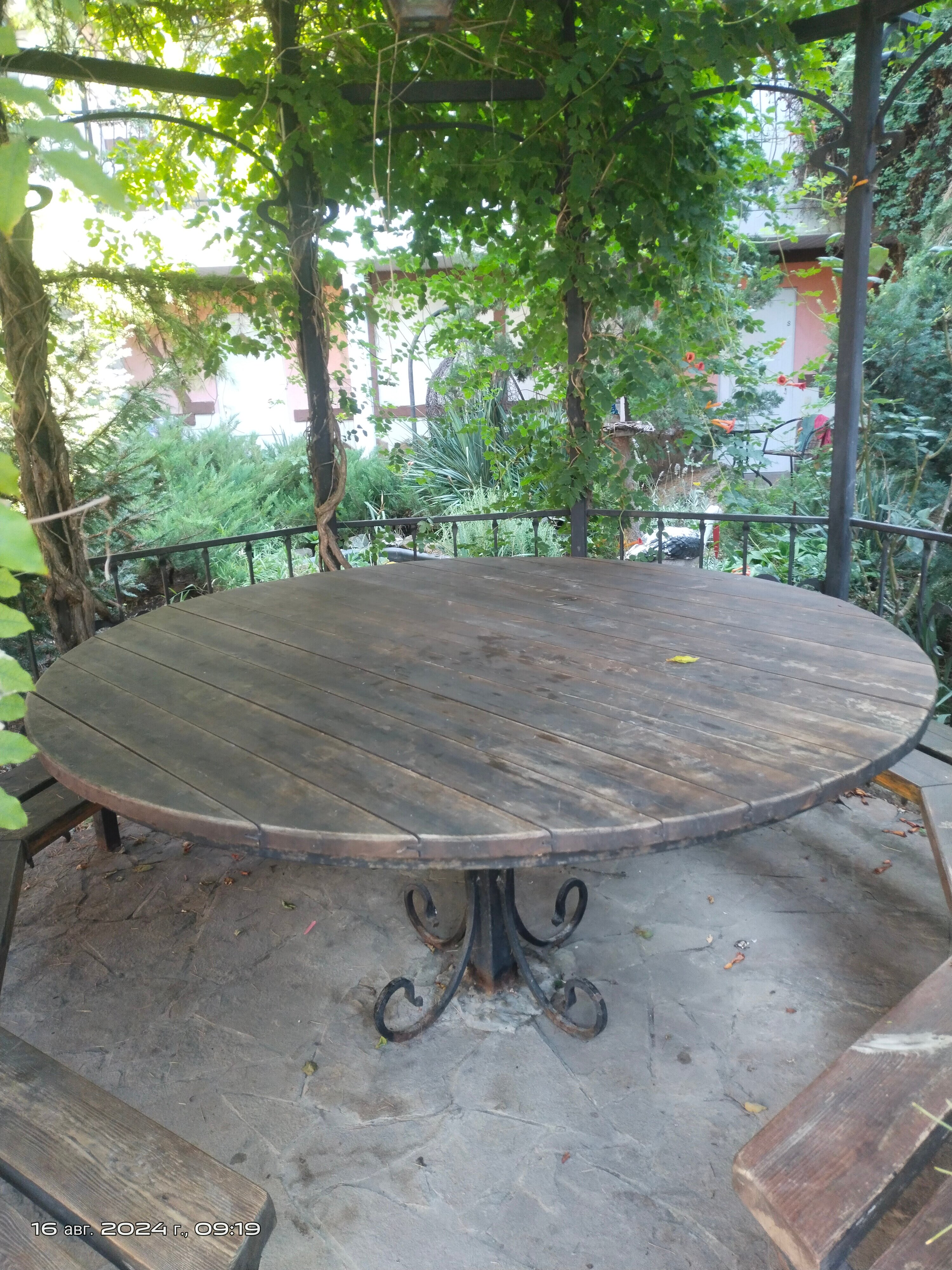 Фото Муравейник