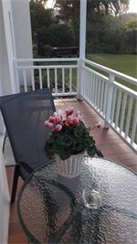 Фото No. 10 Caledon Street Guest House