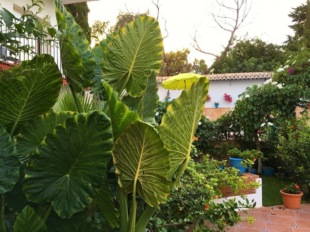 Фото Hotel Carmen Teresa