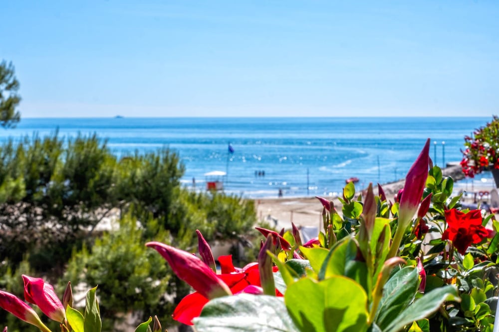 Фото Hotel Petit Palais