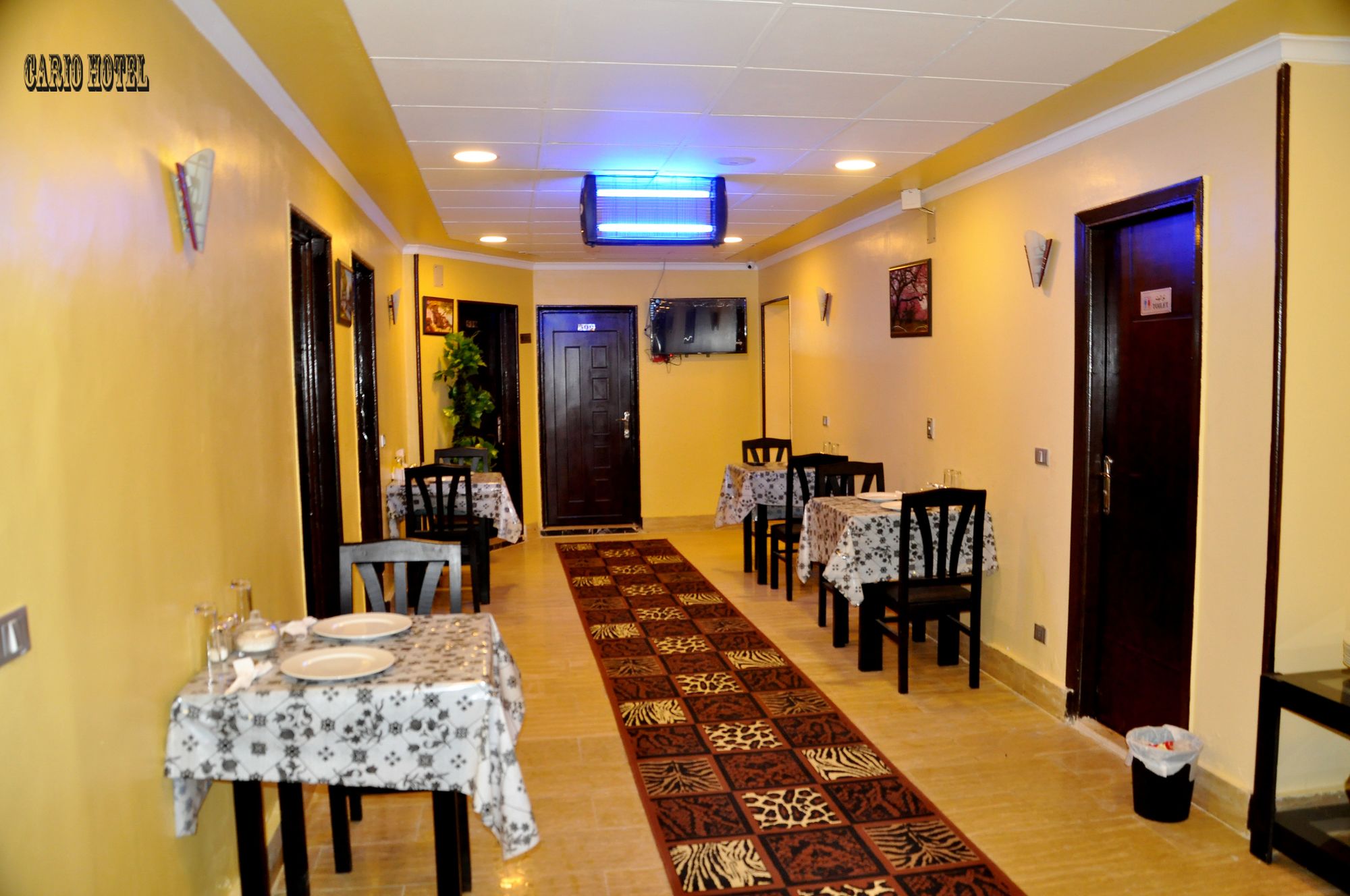 Фото Cairo Hotel