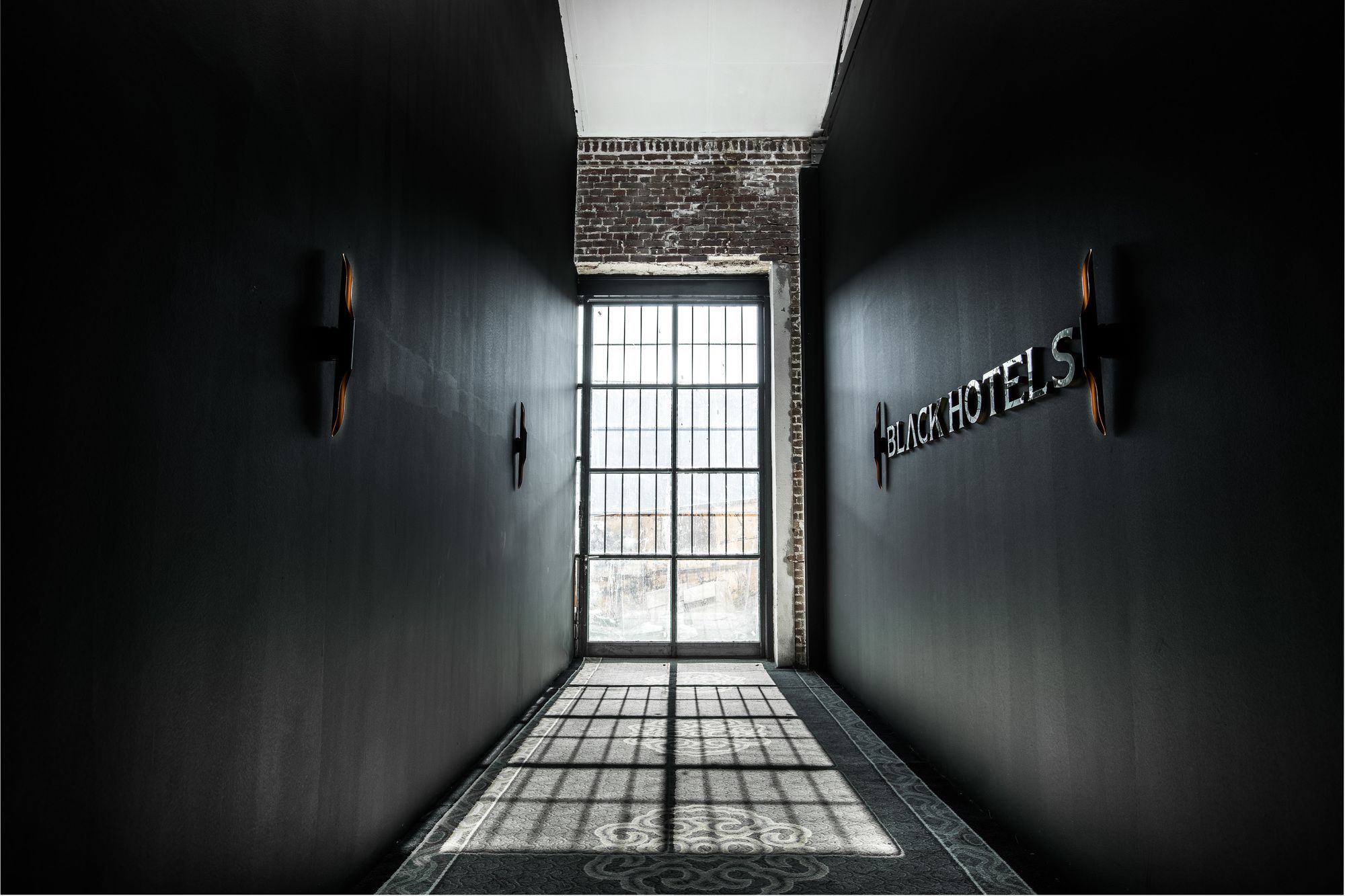 Фото 205954367299