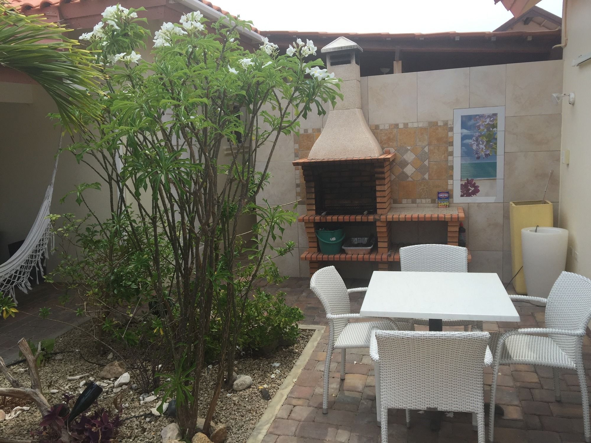 Фото Swiss Paradise Aruba