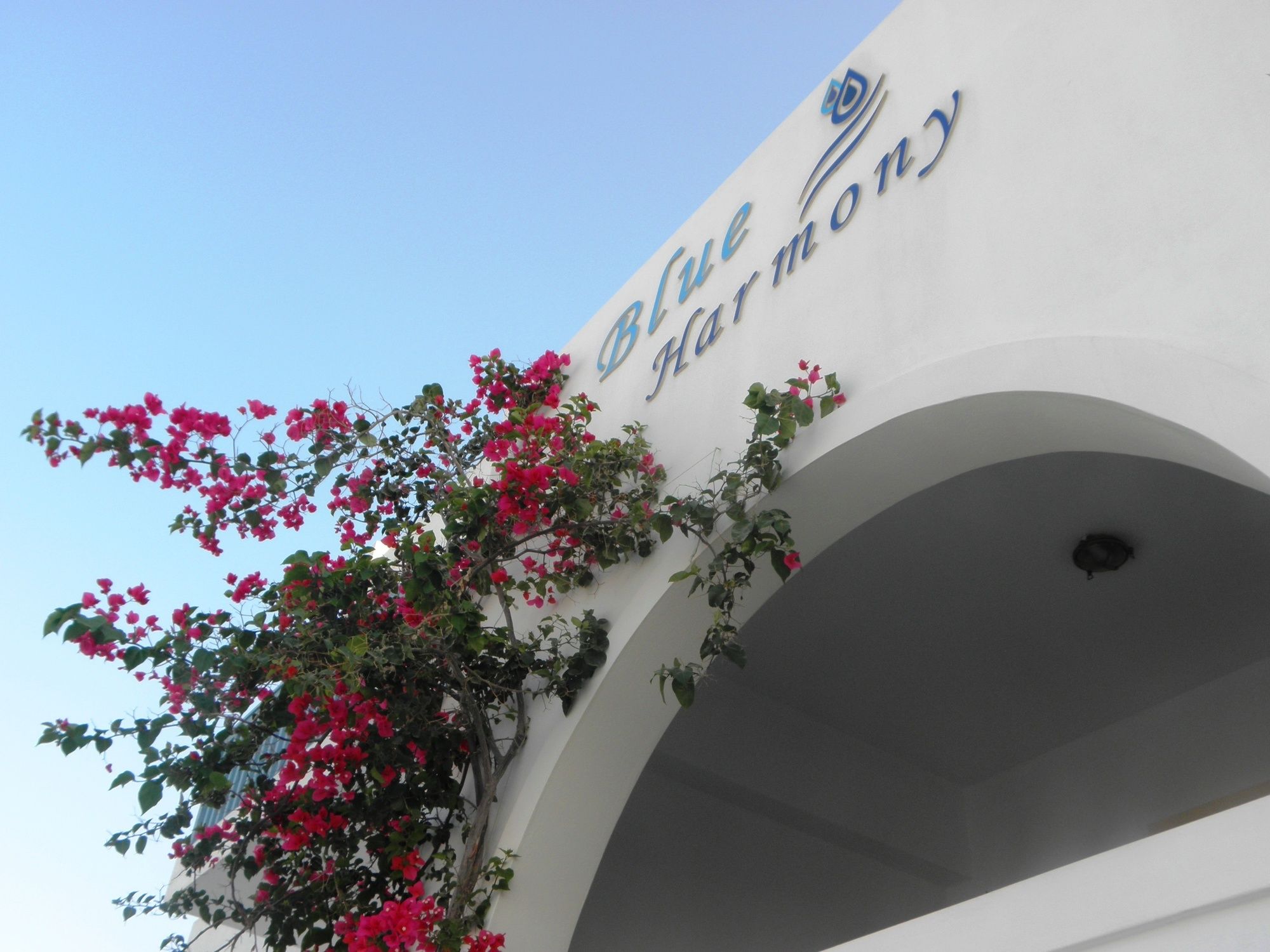 Фото Blue Harmony Apartments