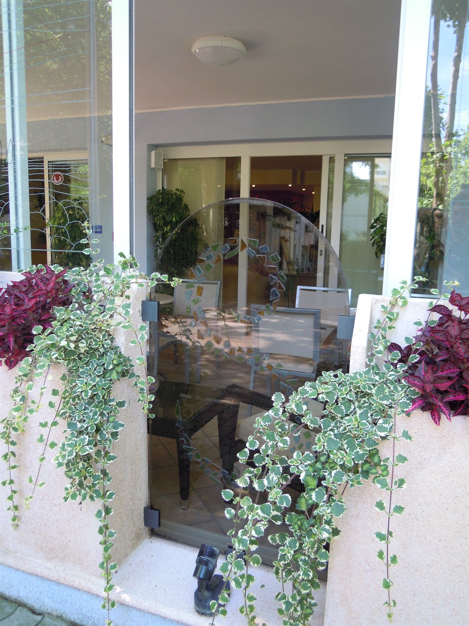 Фото Hotel Solidea