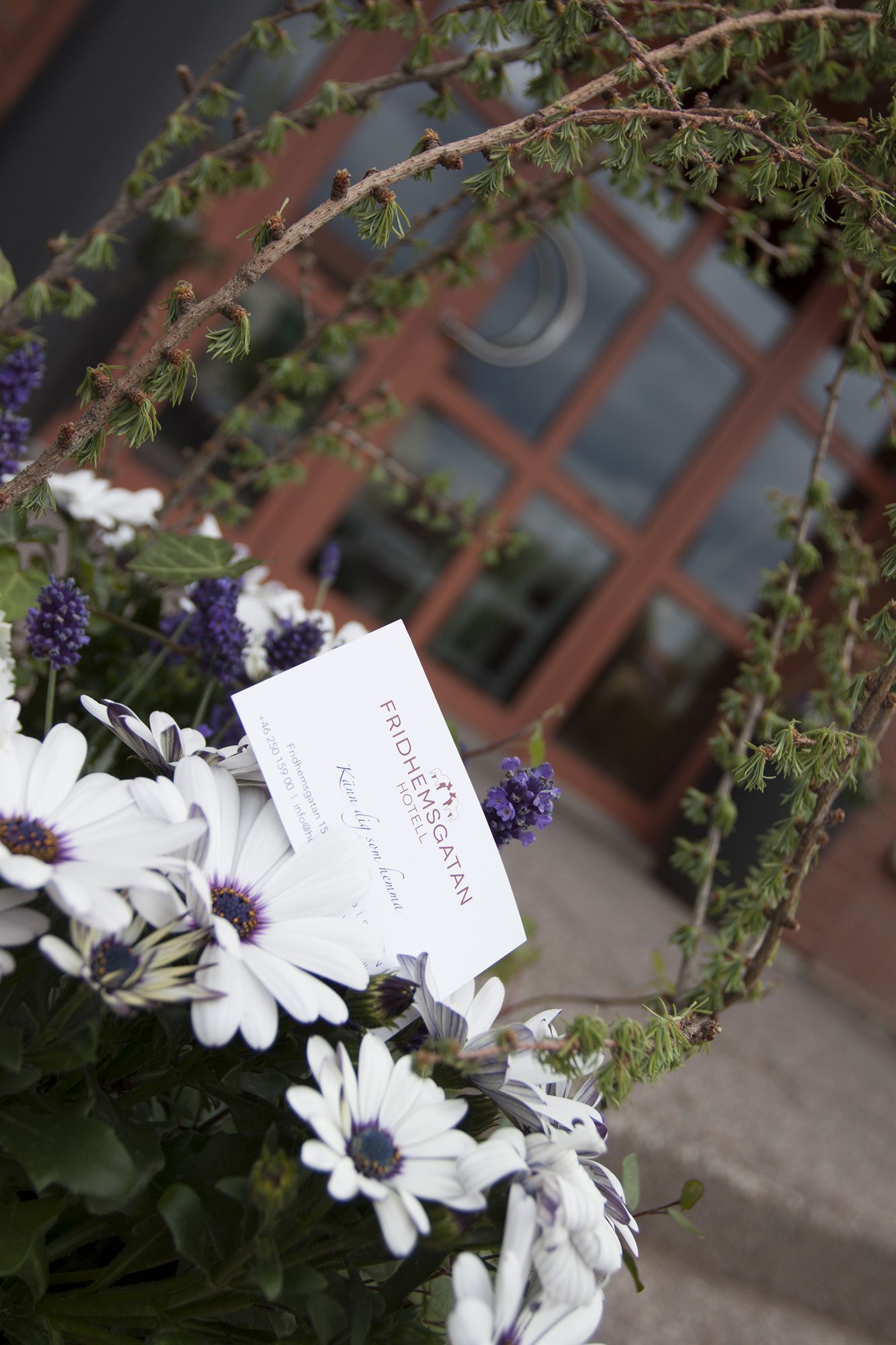 Фото Hotell Fridhemsgatan