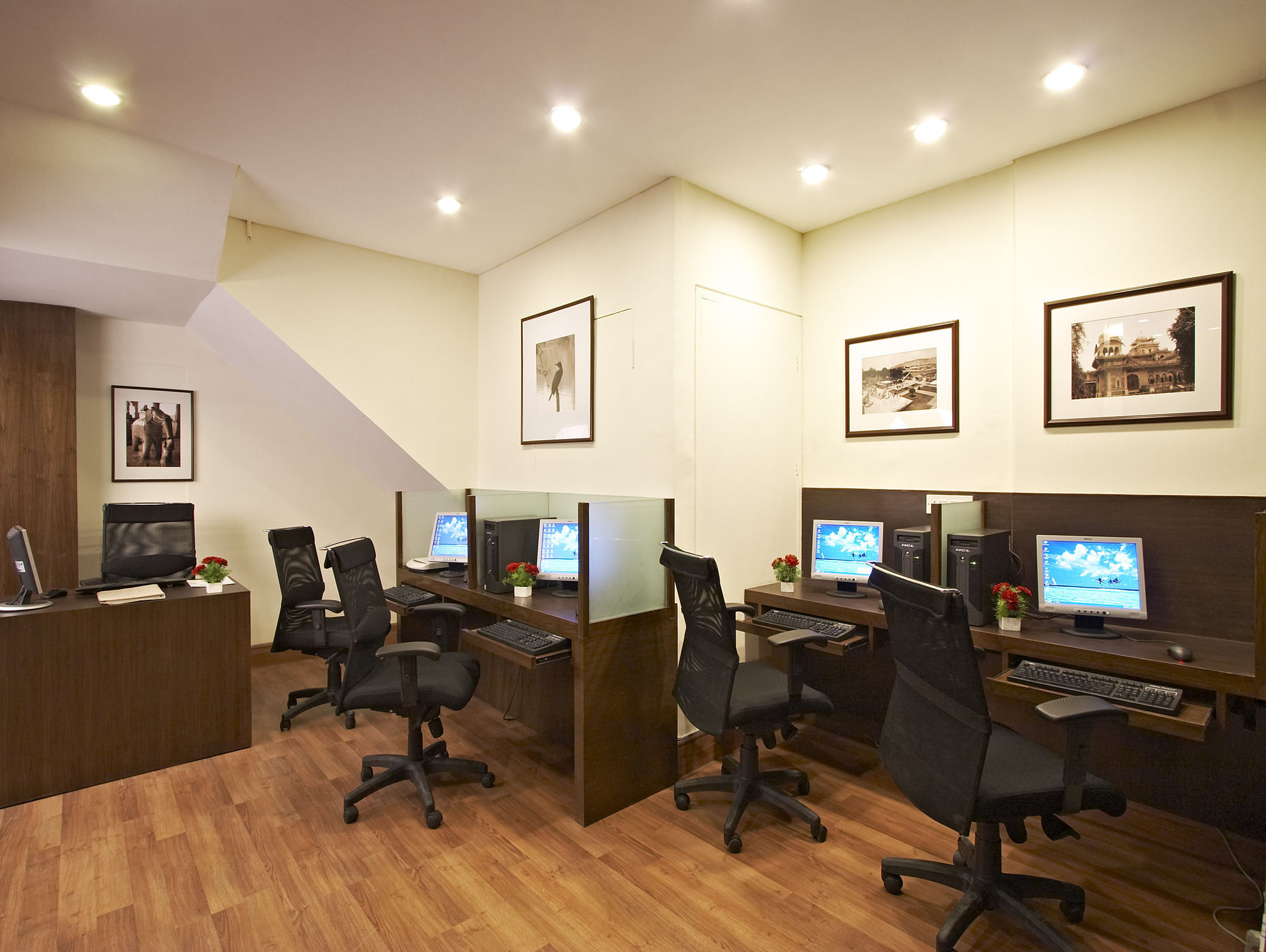 Фото Clarks Amer