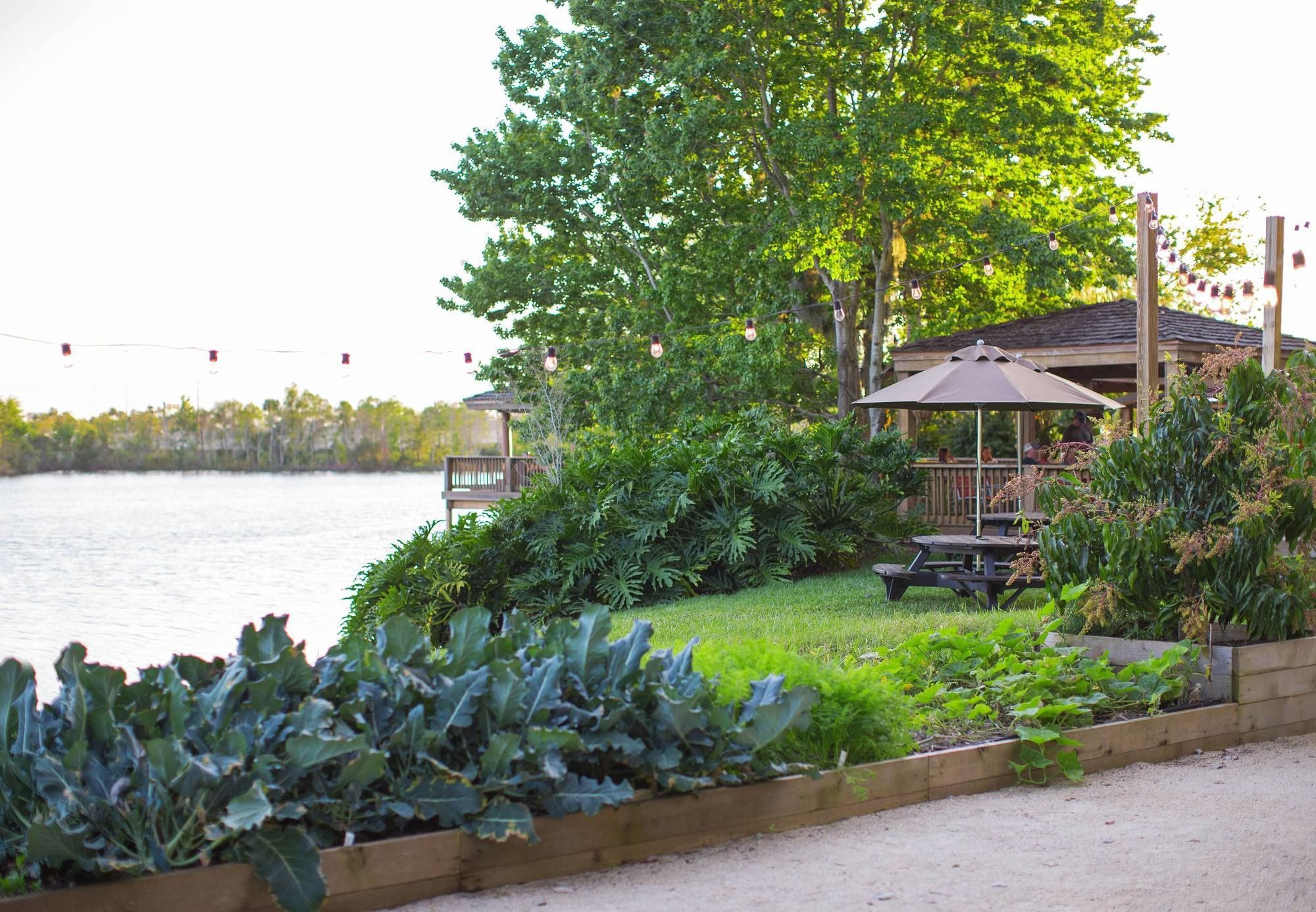 Фото Marriott Orlando Airport Lakeside