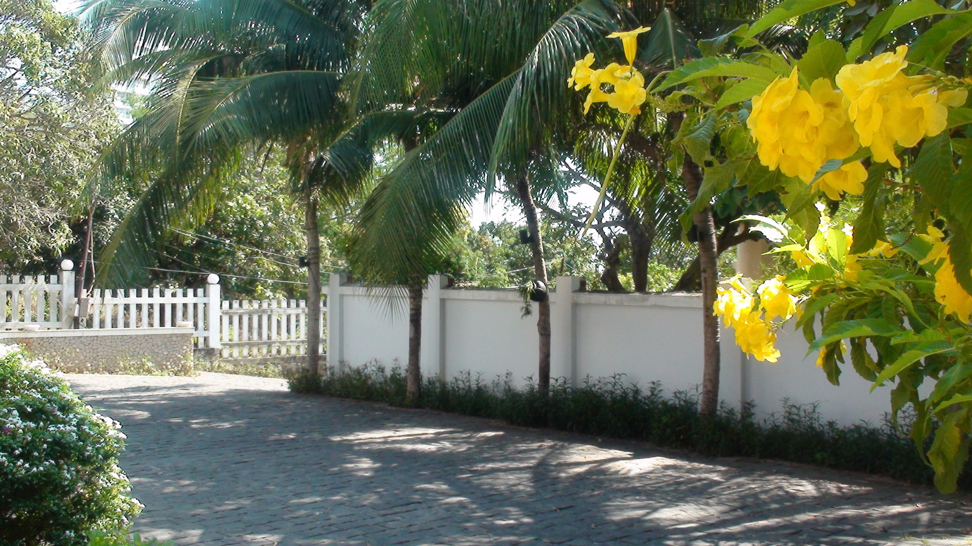 Фото 178835307670