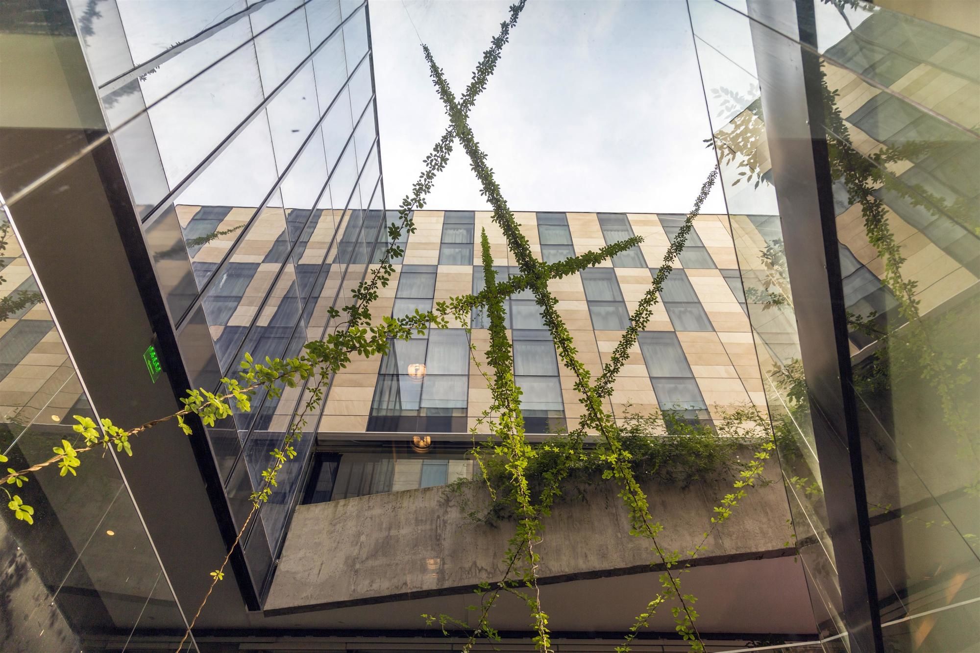 Фото Anselmo Buenos Aires Curio Collection by Hilton