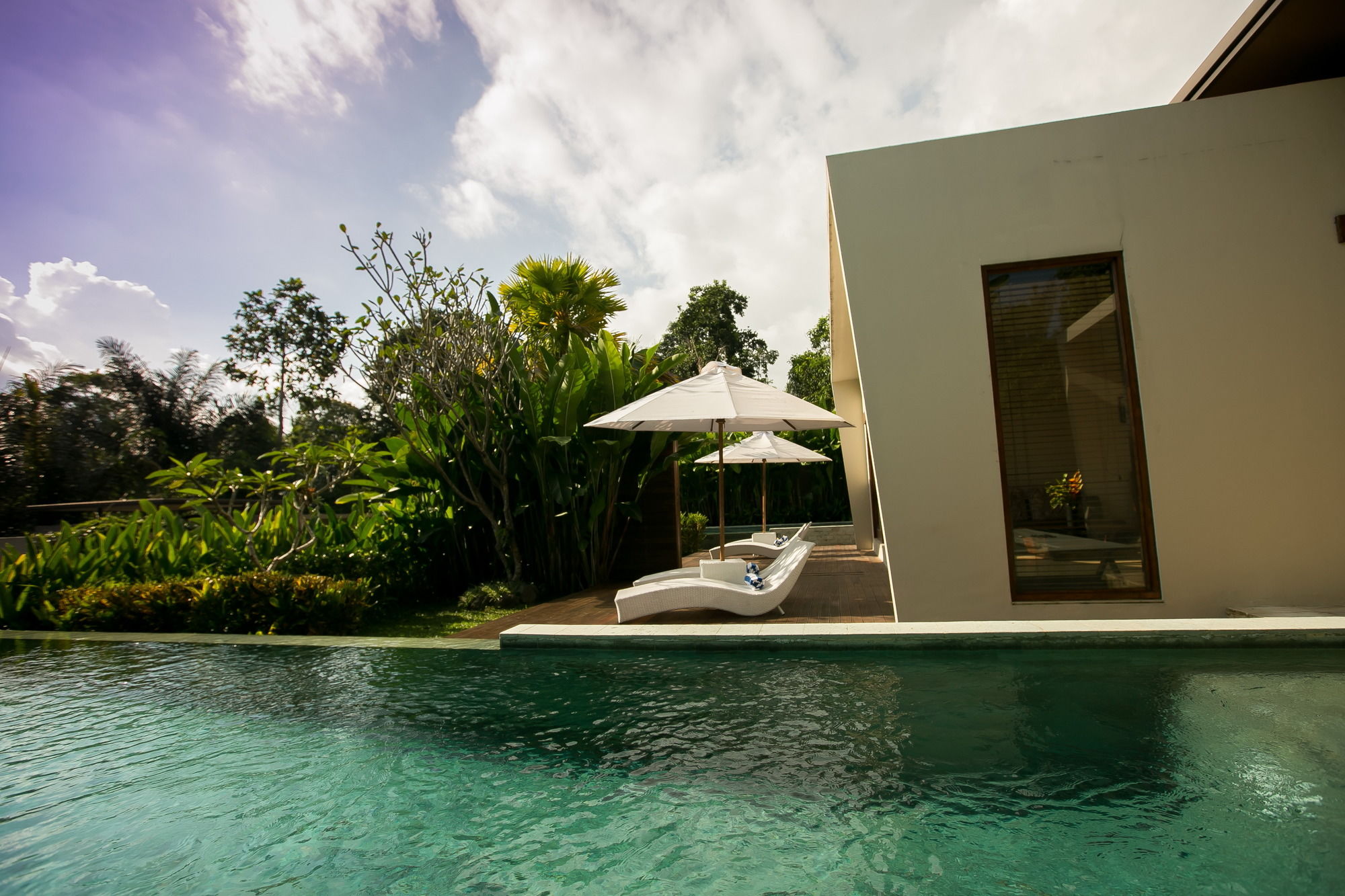 Фото 164162676469