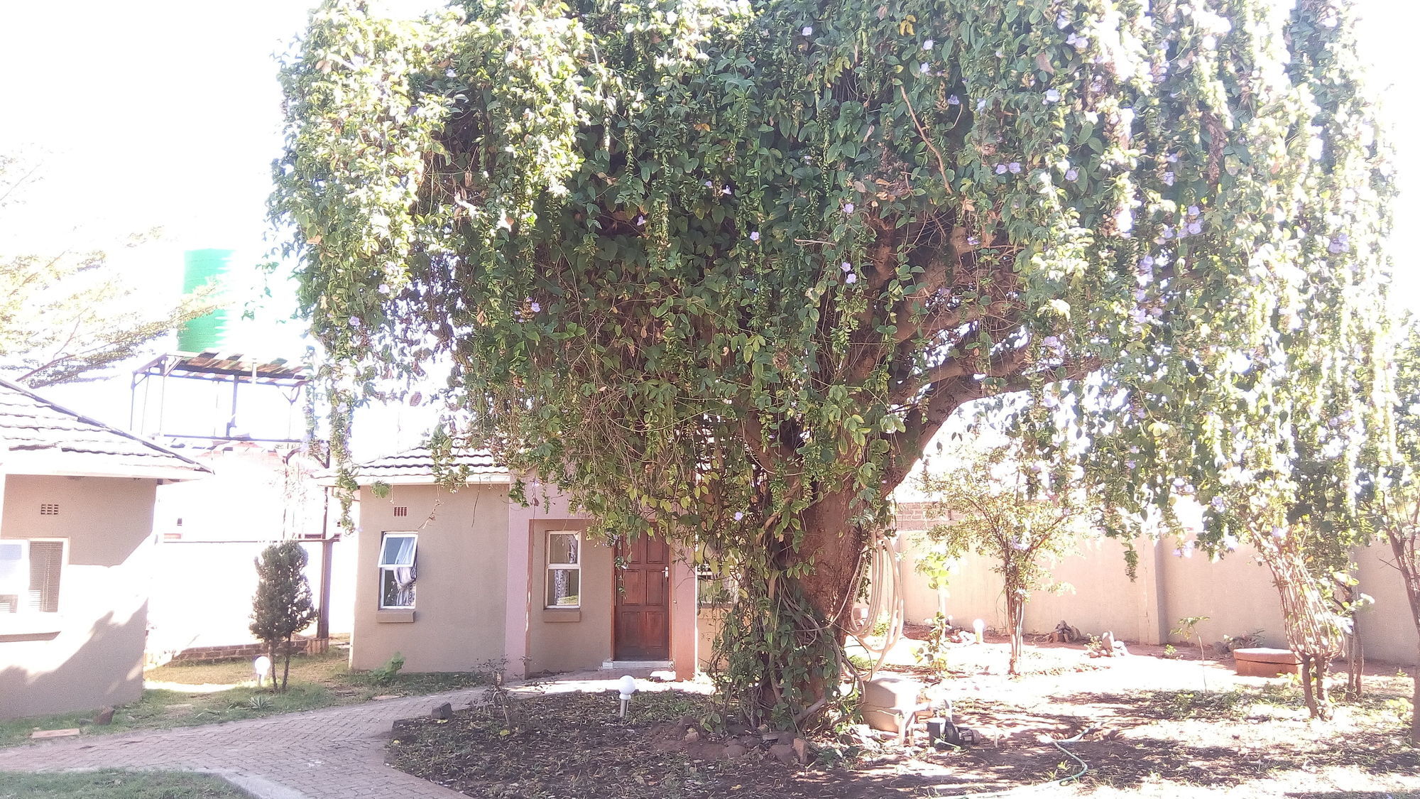 Фото Tasha Lodge