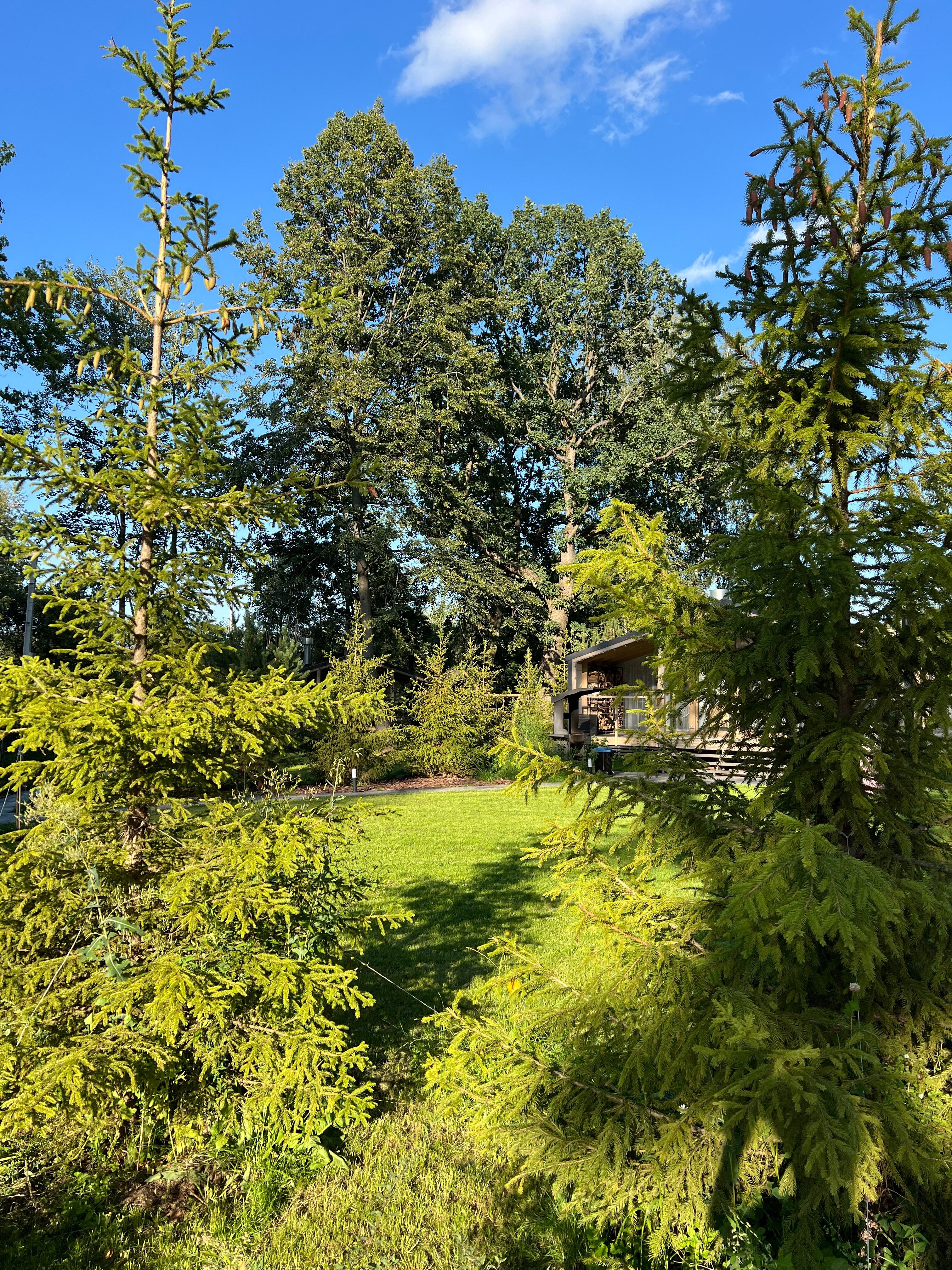 Фото ЧиллВилл