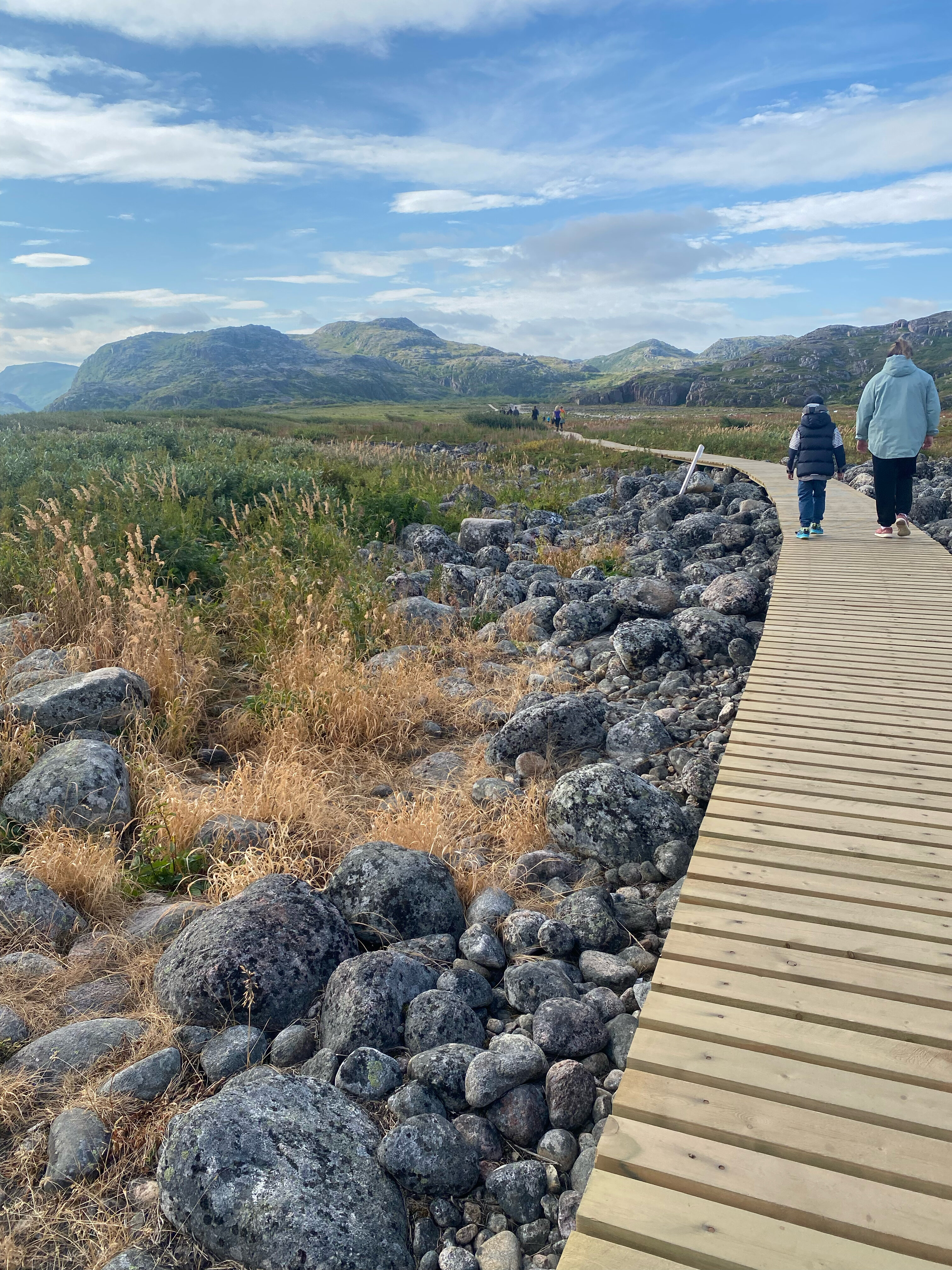 Фото Cedar Grass Териберка
