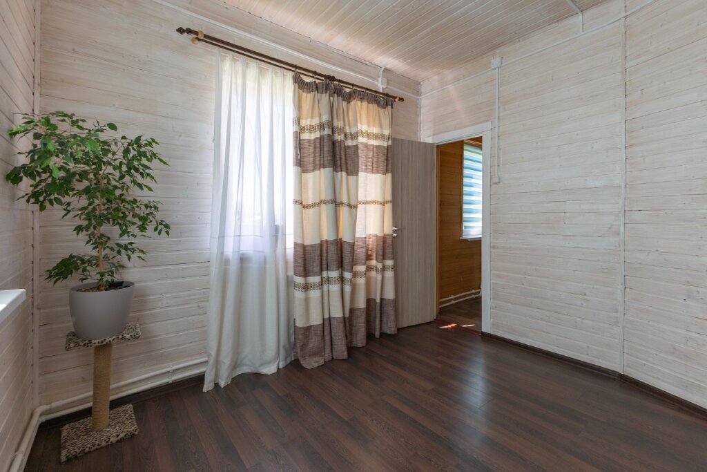 Фото Апельсин