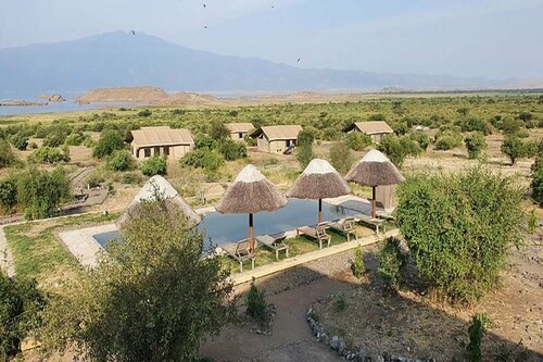Гостиница Africa Safari Lake Natron Camping