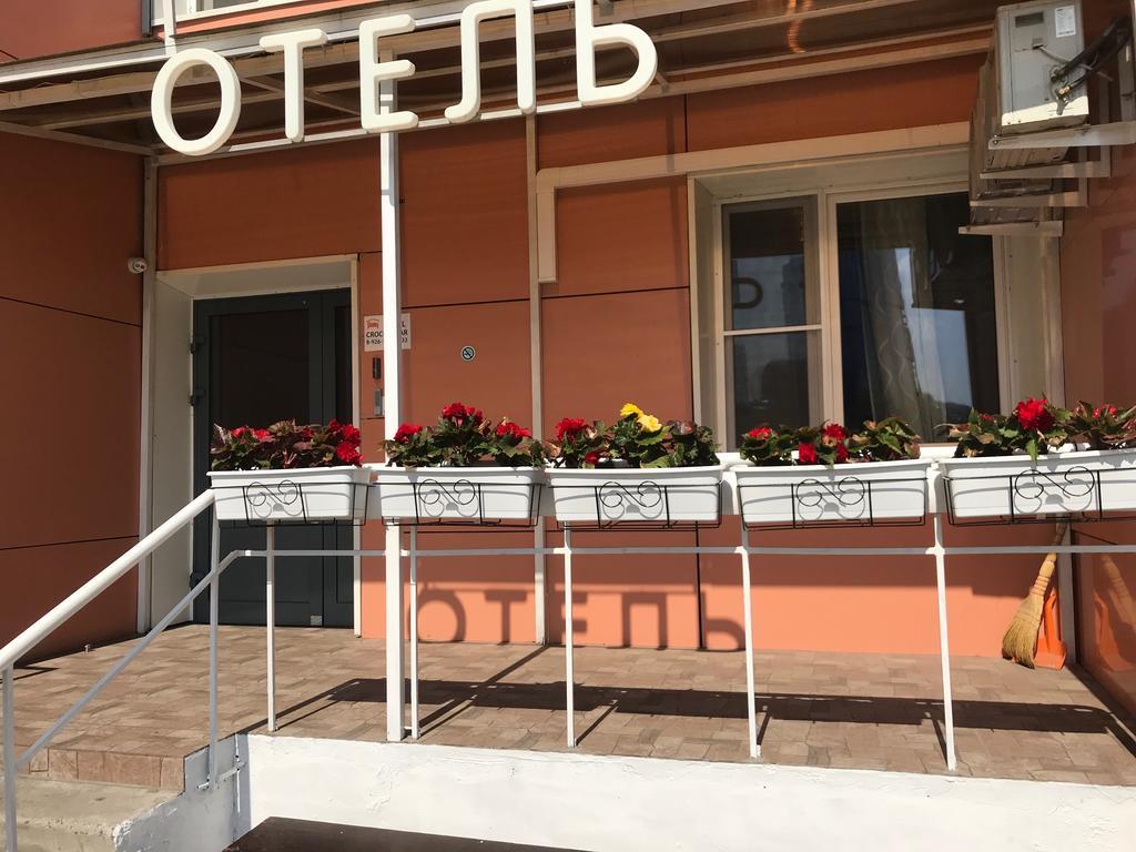 Фото Crocus Star