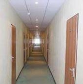 Фото Березка