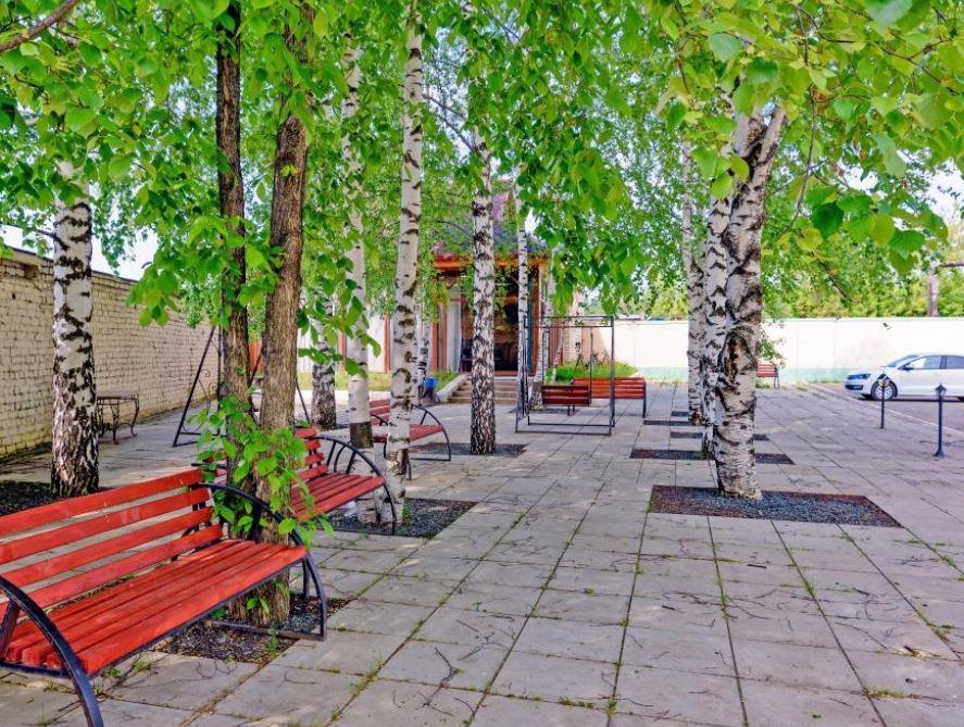 Фото Тополя