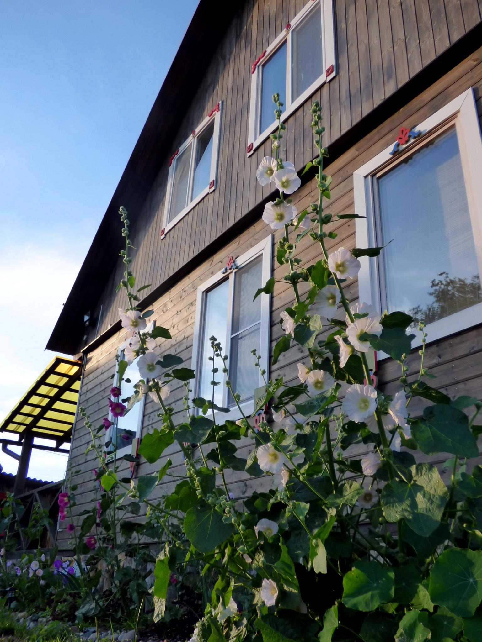 Фото Оберег