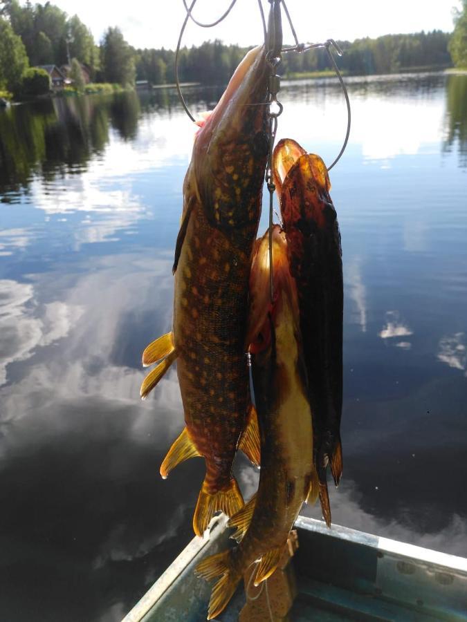 Фото Дом на Валдае