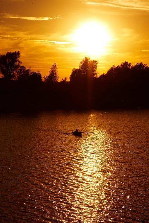 Фото Золотая рыбка