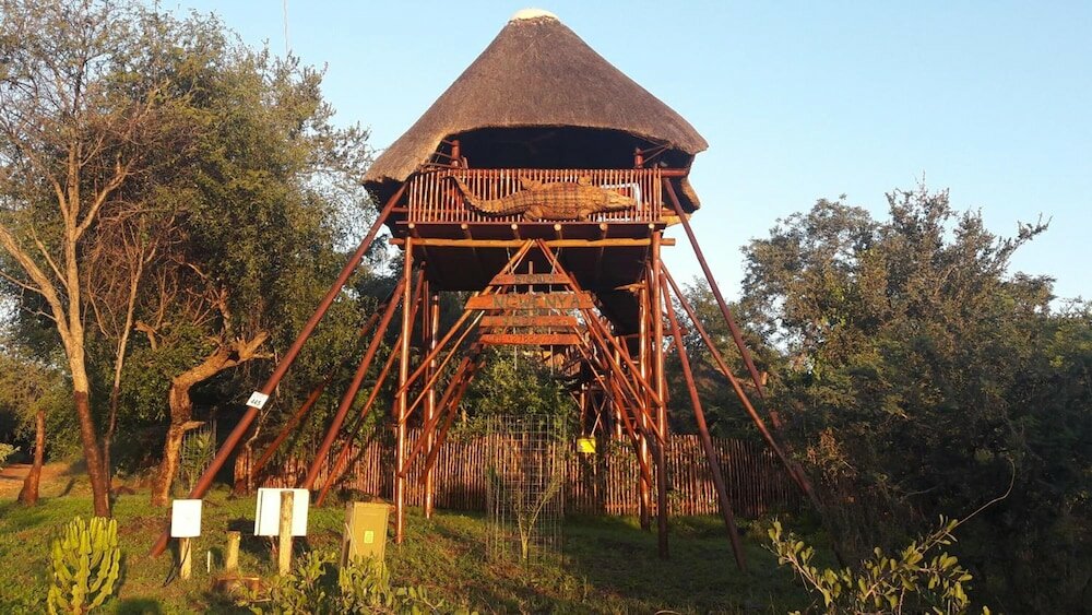 Фото Bona Ngwenya Lodge