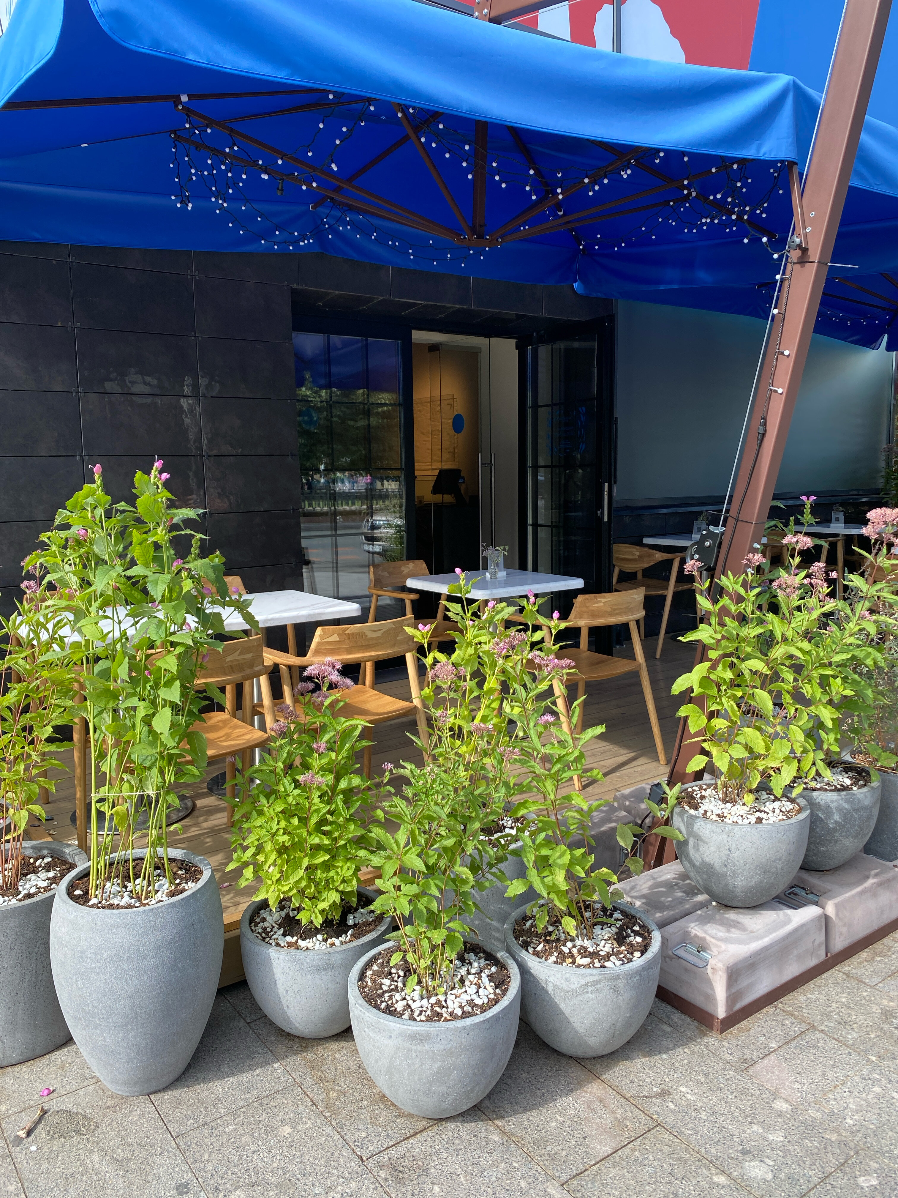 «Atlantica Bistro» фото 1