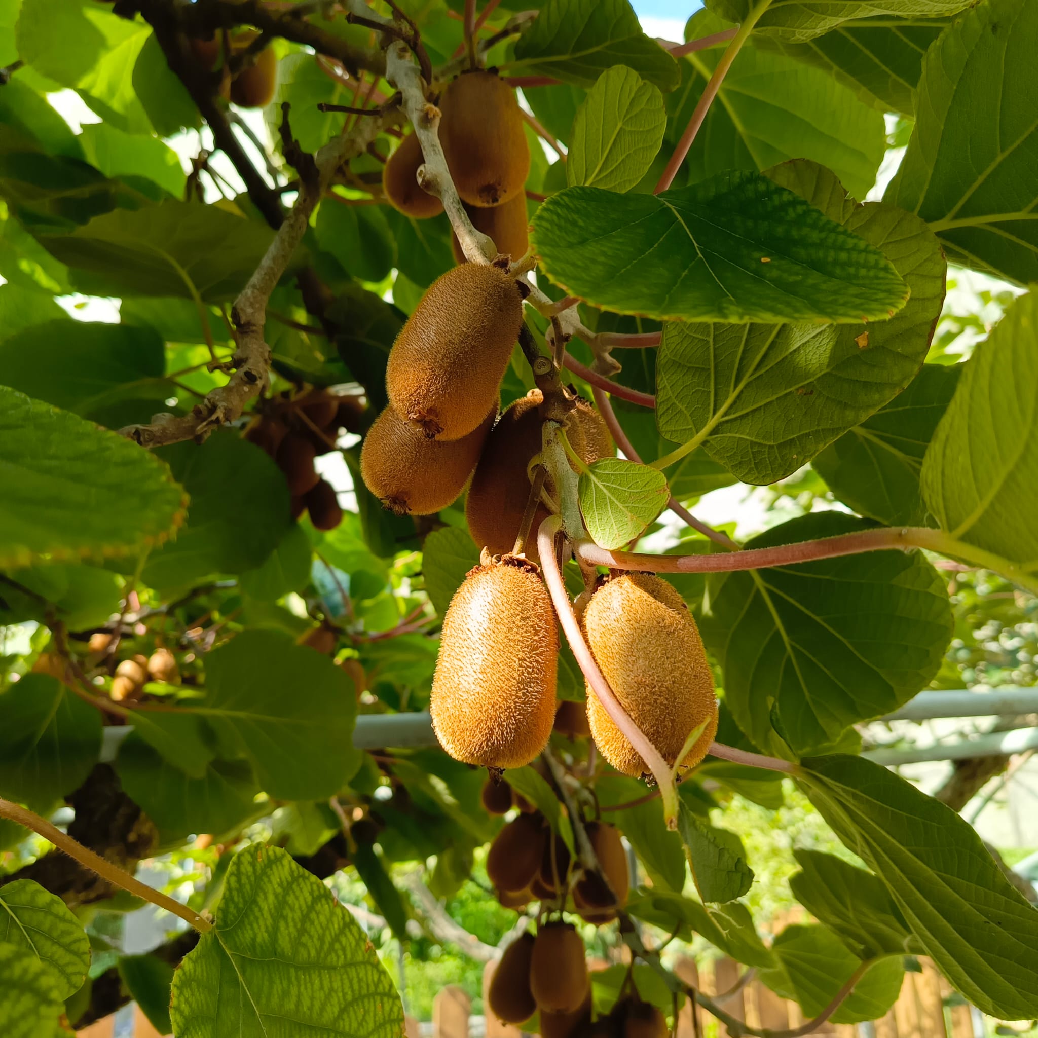 Фото Райский уголок