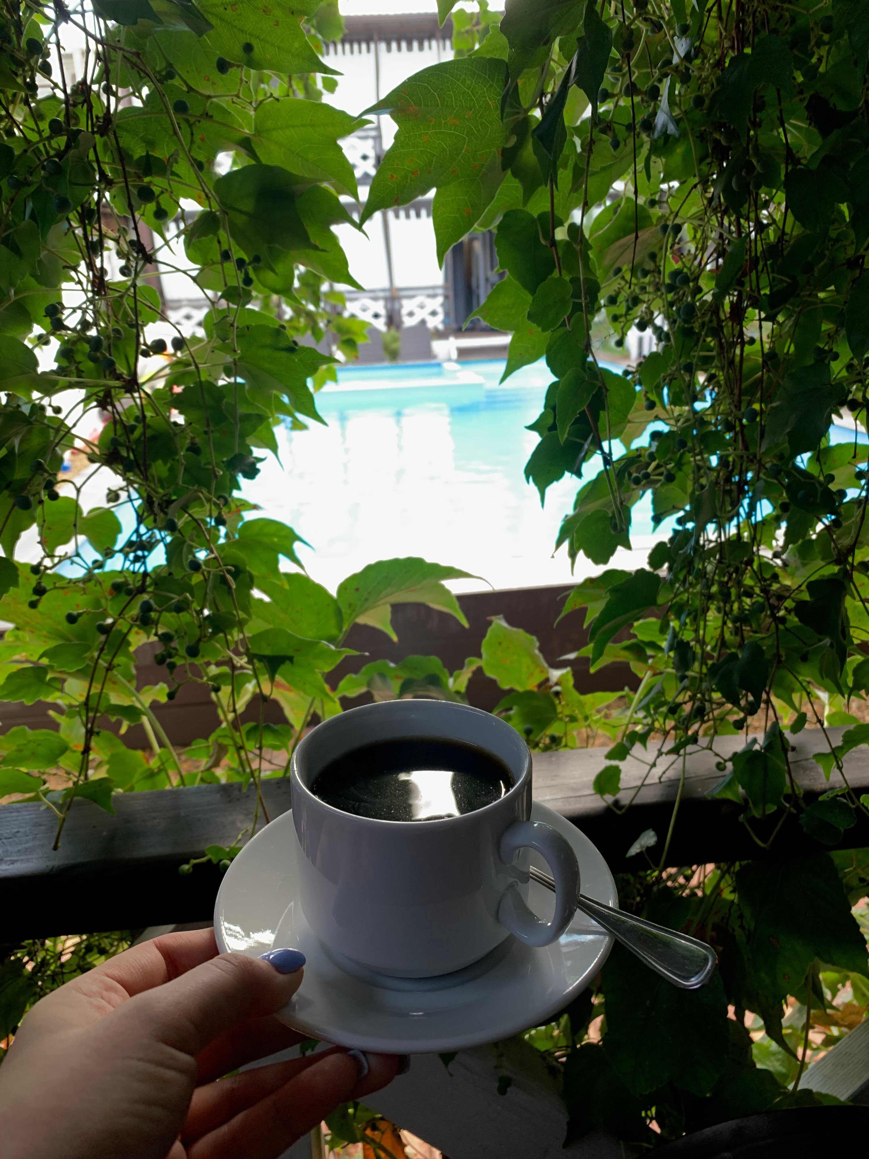 Фото Белая Деревня