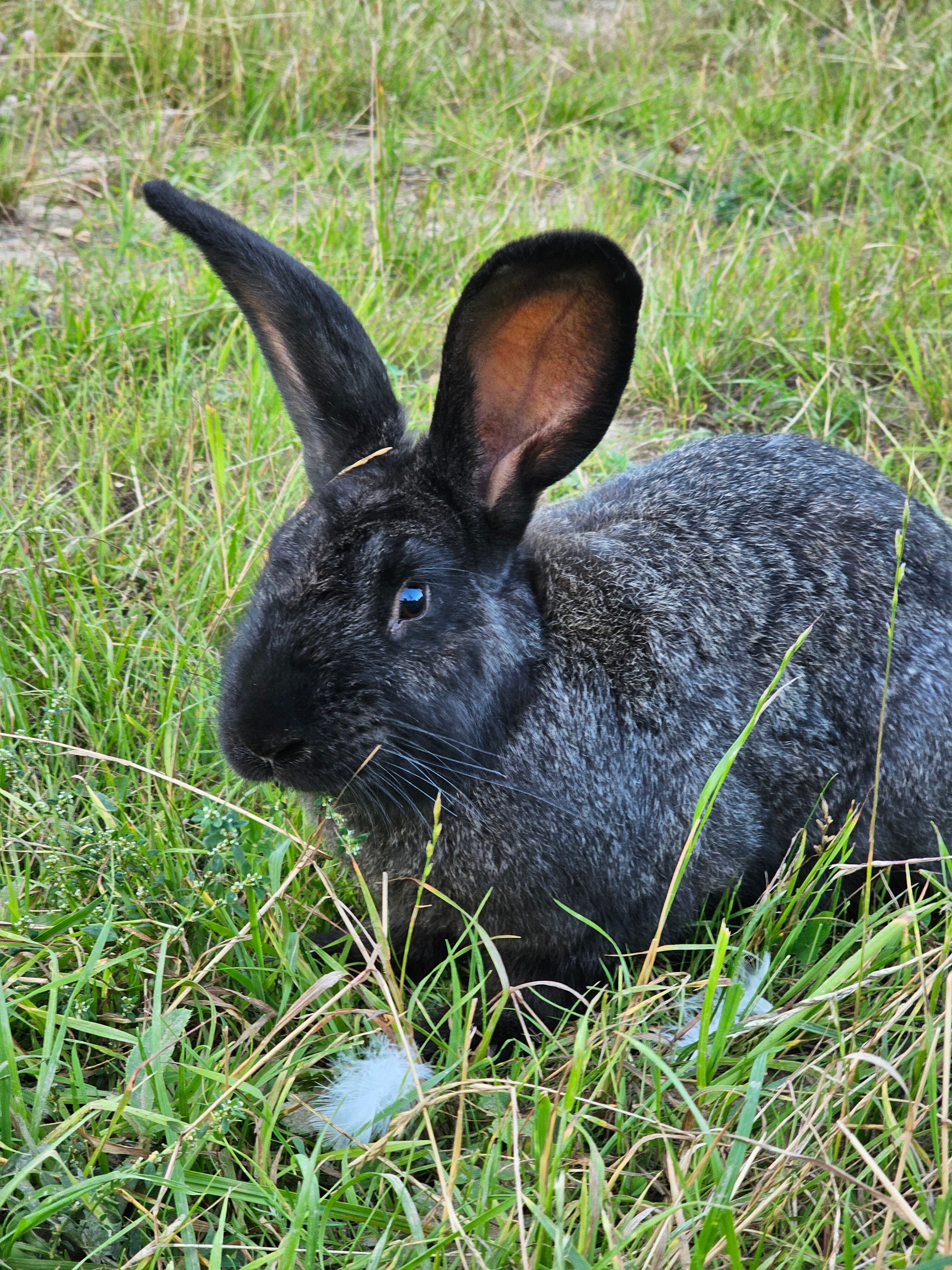 Фото Варилка