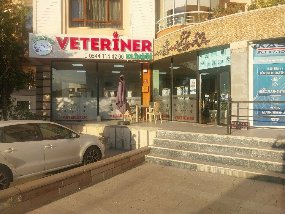 Veterinary clinic Lisbon Veterinary Clinic, Ankara, photo