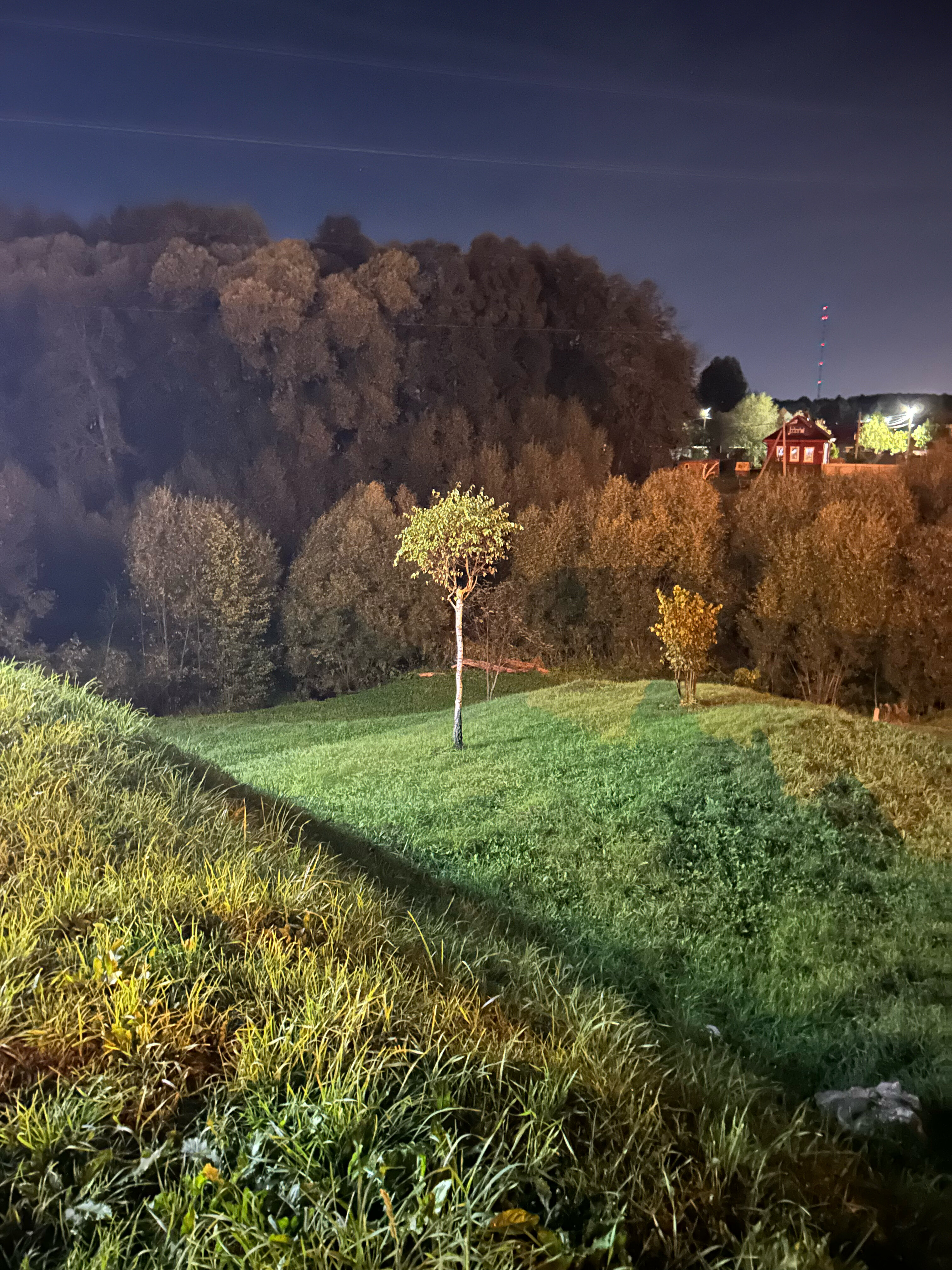 Фото Клевер