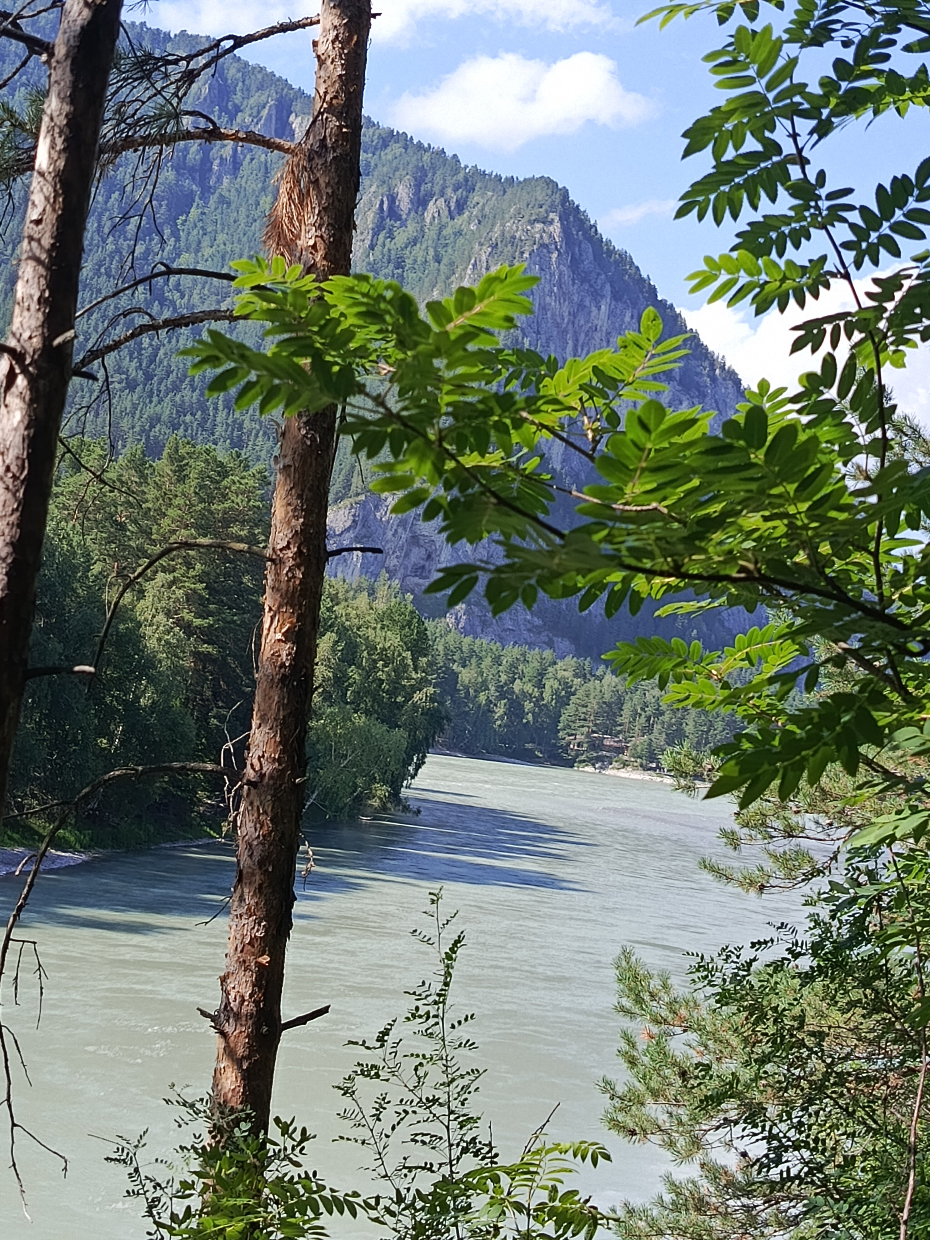 Фото Катунский утёс