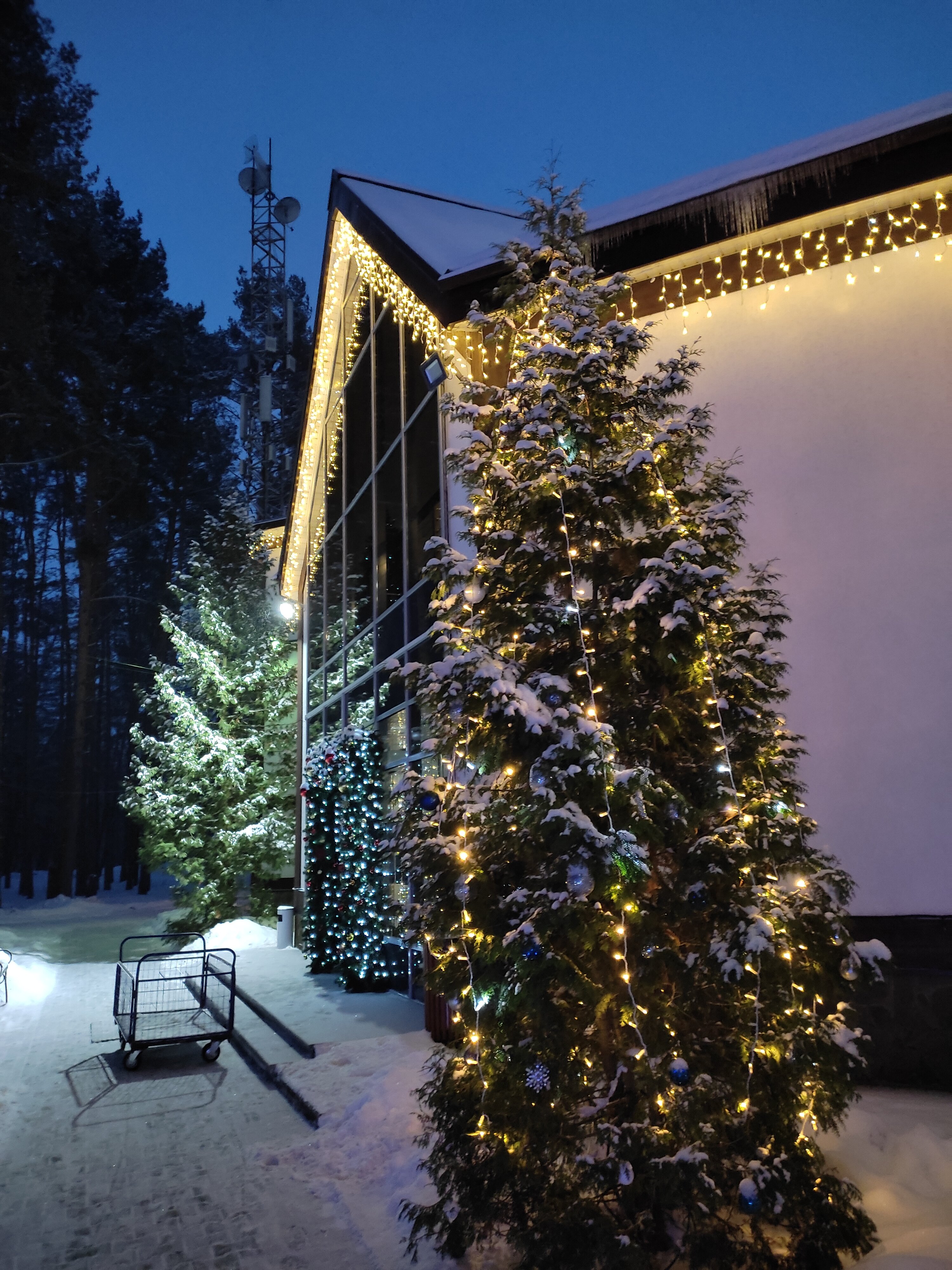 Фото Русский