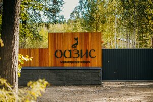 Дом отдыха Оазис в Новосибирской области