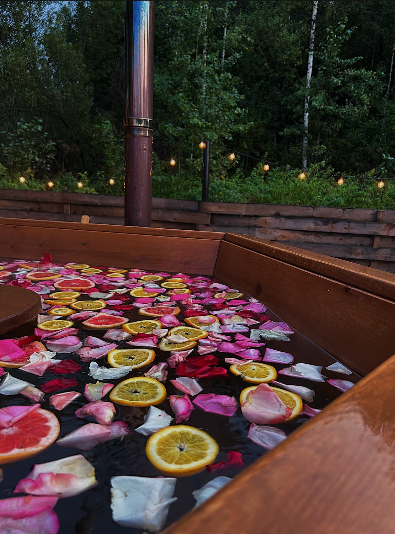 Фото Шёпот леса