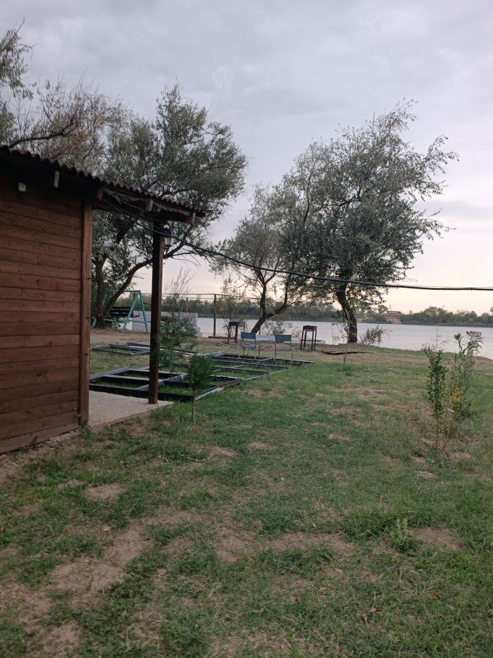 Фото Ягода-Малина