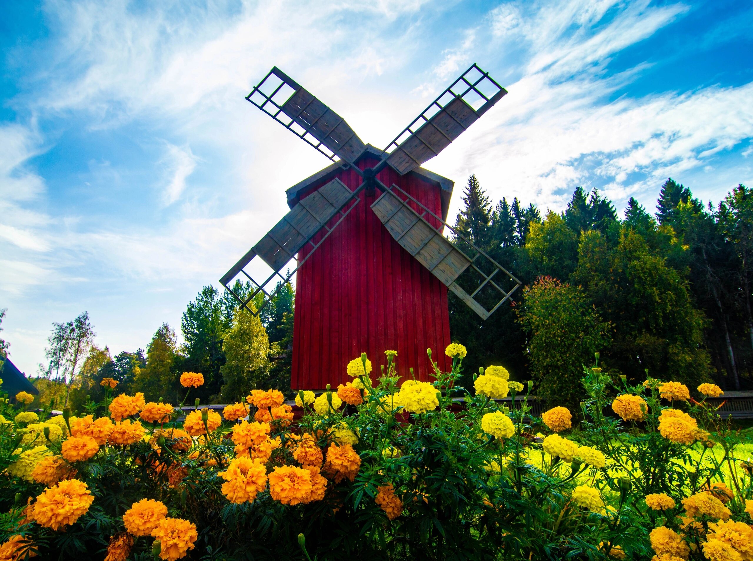 Фото Времена Года