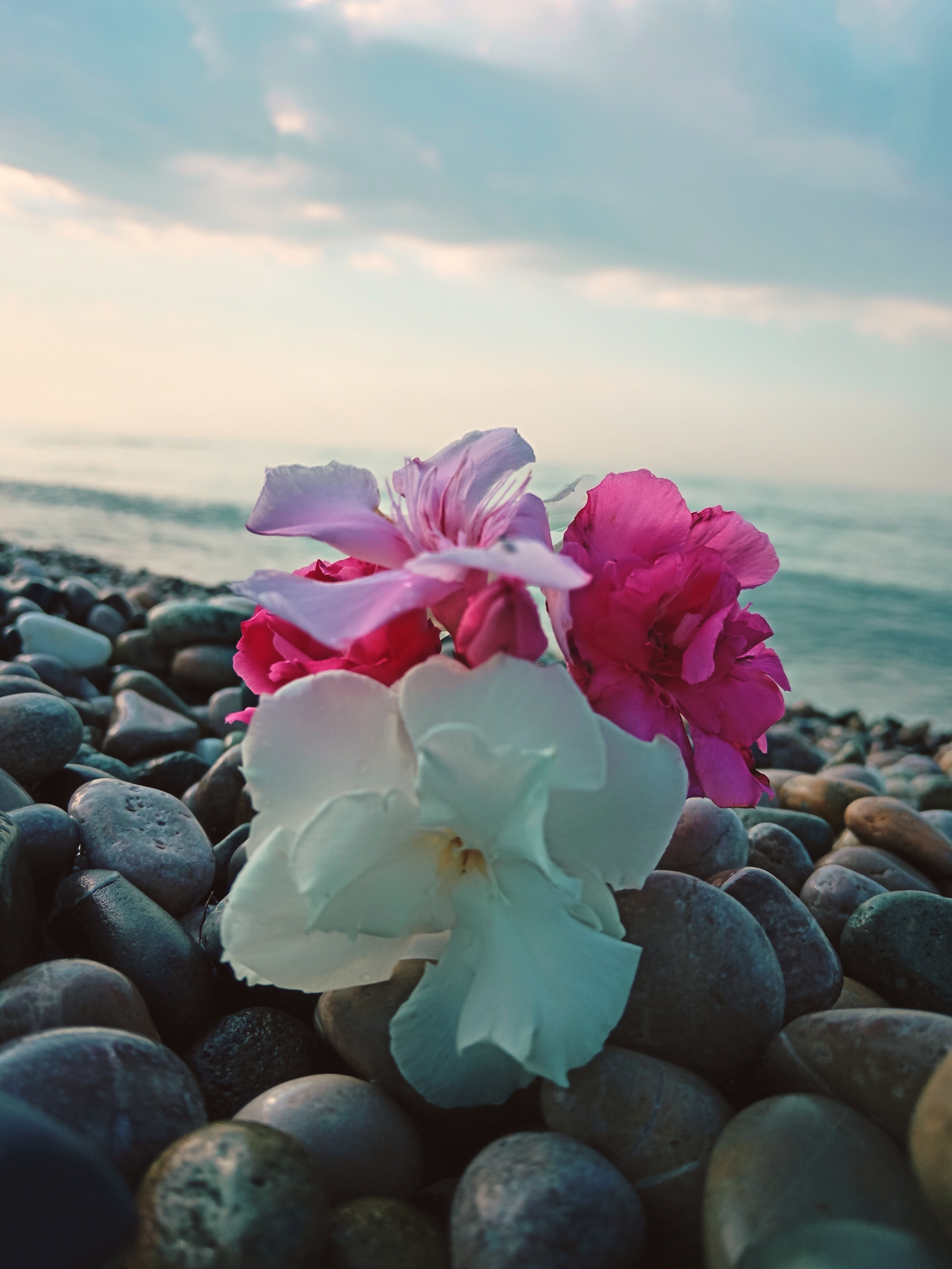 Фото Бассейн