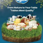 Ayca Milk (Konya, Adana Çevre Yolu Cad., 96A), dairy products wholesale