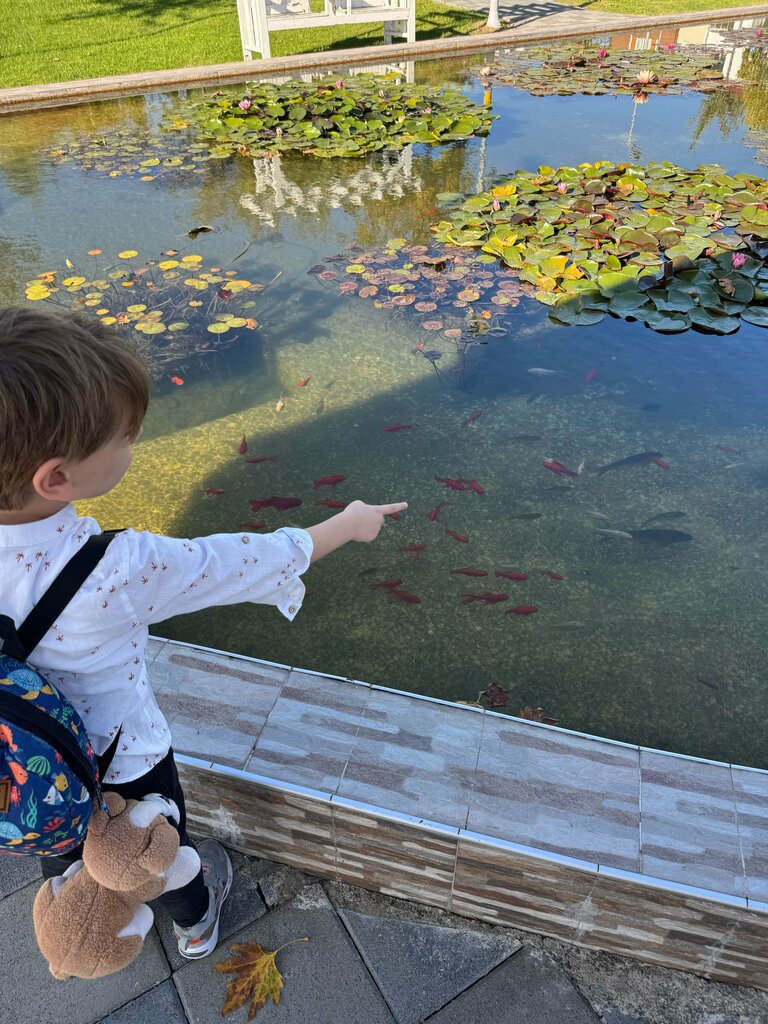 Park Nilufer and Art Park, Bolu, photo