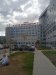 Etlik City Hospital (Ankara Province, Yenimahalle, Varlik Neighborhood), hospital para adultos