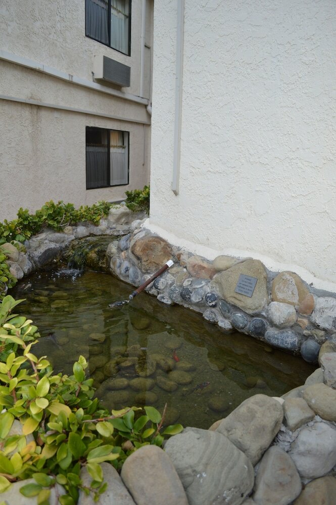 Фото Jolly Roger Hotel