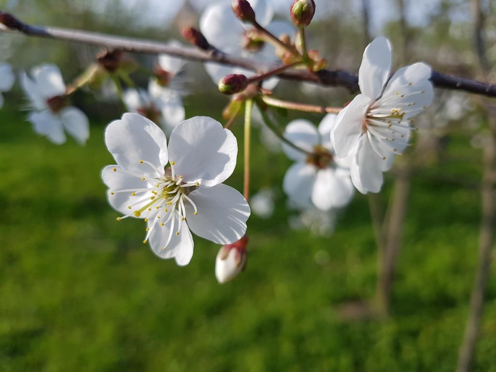 Фото Гостевой Дом Александровский